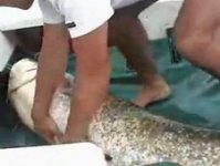 野河船上路亚超级鲶鱼王的全过程 [视频]