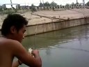 野河垂钓 茷杆串钩之鳊鱼记 [视频]