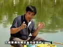 回顾程宁鲫鱼速钓法钓浮篇 [全集视频]