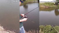 野河路亚收获77公分大翘嘴鱼 [视频]