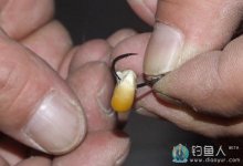 高手分享专攻大物-玉米粒的制作与挂钩技巧