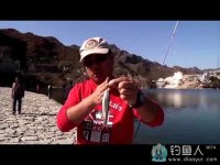 路亚达人爆钓柿子沟路亚马口 [视频]