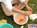 游钓世界之狂钓罗非鱼 [视频]