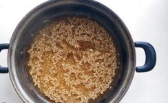 中药麦子包谷钓鲫鱼鲤鱼草鱼饵料（附药酒配方）