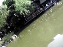 新手钓到鲶鱼鱼竿折断 老将出手沉着应战 [视频]