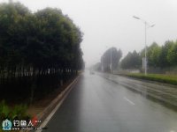 菱角池里钓鱼钓,酒米掺蓝鲫撒窝钓鲫鱼和黄颡鱼