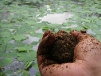 程宁讲解野外钓鱼如何打窝的技巧 [视频]