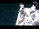 老美海钓-擒获一条835斤的巨型金枪鱼 [视频]