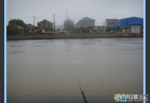 阴雨天娄唐大河作钓,连爆鳊鱼收获丰