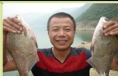 故县水库环保钓鱼-擒得大鳊鱼和翘嘴