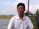 手把手教你手竿狂钓鲢鳙 （上） [视频]