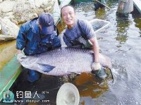 信阳光山县水库捕到147斤大青鱼足有1.76米长