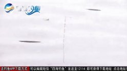 《去钓鱼》之黑坑江湖 第16集（通州君诚）[超清视频]
