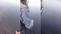 水库海竿擒获50斤大青鱼上鱼全过程 [视频]