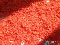 高手分享野钓鲫鱼特效窝料(酒泡小米)