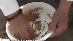 垂钓大师张雪平讲解钓鱼如何开饵技巧 [视频]