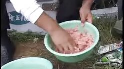 张乐平讲解手竿狂钓鲢鳙的技巧 [视频]