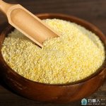 自制碎玉米钓鲤鱼、鲫鱼饵料 [taigeeryg]
