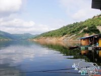 野钓高手浅谈钓白条的技巧