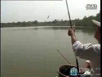 教你夏季野钓怎么钓草鱼 [视频]