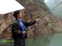 巫山钓友长江中钓出31斤大鲶鱼 [视频]