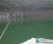 个人分享对钓鲢鱼的经验和心得介绍