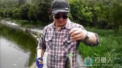 路亚狂中鲈鱼、鲶鱼、翘嘴、逆天中鳊鱼正口 [视频]
