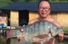 万峰湖巴桑圆梦行,断竿断线擒大罗非