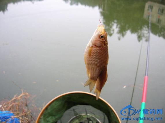 DSCN4919.JPG