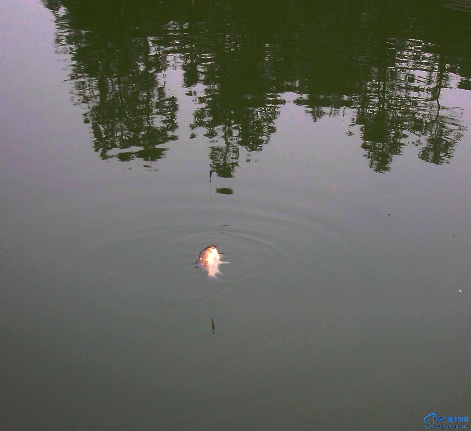 DSCN4934.JPG