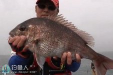 日本矶钓高手岛礁酷钓大黑鲷上鱼全过程 [视频]