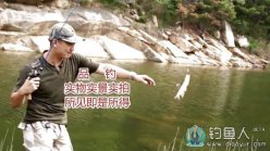 实战微抛水滴轮极软马口竿 [视频]