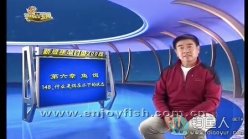 新手竿钓鱼200问：148什么是饵在水下的状态 [视频]