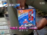 欢乐池塘：鲫鱼饵料配方节选 [视频]