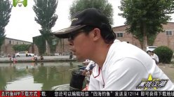 《黑坑江湖》第二季 第8集（河北保定钓罗非下）[视频]