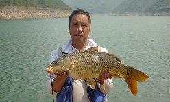 自制玉米粒爆炸钩饵料（通杀鲫鲤草鳊鱼）
