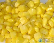 自制通杀型玉米粒饵料和窝料配方