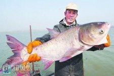 自制一款实用型浮钓鲢鳙饵料配方