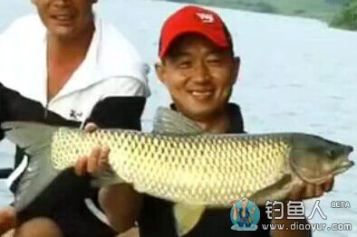 《江湖行》黄冈战草 木兰湖斩大草鱼 2014-09-24 [视频]