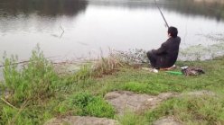 水库野钓狂拉鲫鱼（6分钟开始上鱼）[视频]
