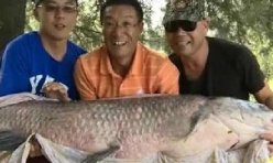 徐州三钓友连守七天 在云龙湖钓起百斤大青鱼