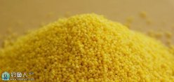 自制菠萝香米窝料诱钓各类大鱼效果好