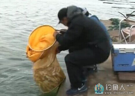 化氏钓技训练营第二季16-暮夏之钓(三) 化老筏钓翘嘴爆护