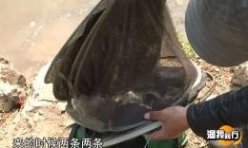 《渔我同行》骑行千岛湖 第251期(补)化老自制窝料 [视频]