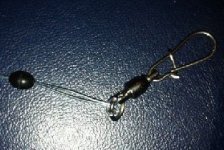 海竿浮钓鲢鳙的入门技巧篇