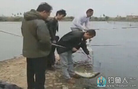 《渔我同行》端午游钓记 第257期 小崔黑坑战草鱼 [视频]