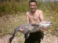 温峡水库斩获50斤大青鱼溜鱼全过程 [视频]