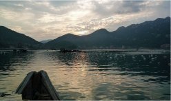 海钓天然渔场 斩大黑鲷鱼获丰富
