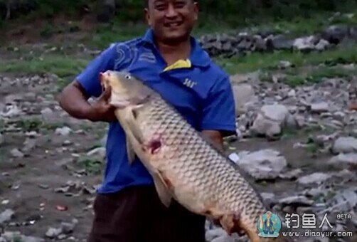 水库之战第07集：易水湖搏超大鲤鱼（一）[视频]