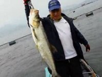钓友在万峰湖筏钓大翘嘴 [视频]